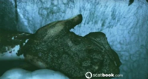 SweetBettyParlour - I CAN touch YOU with IT! ( Scatbook [HD 720p]