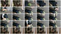 Mistress Luciana - Schluckwillige Scat Toilette im Keller (Germany, Scat ) Scatbook.com [HD 720p] Screenshot 1