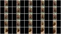 Layla Lee - Gassy Diarrhea (Amateur, Defecation ) Laylaleescat.com [FullHD 1080p]