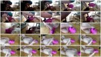 Mistress Jardena - Shiteater for pervert Mistress (Kaviar, Humiliation ) Scatbook.com [HD 720p]