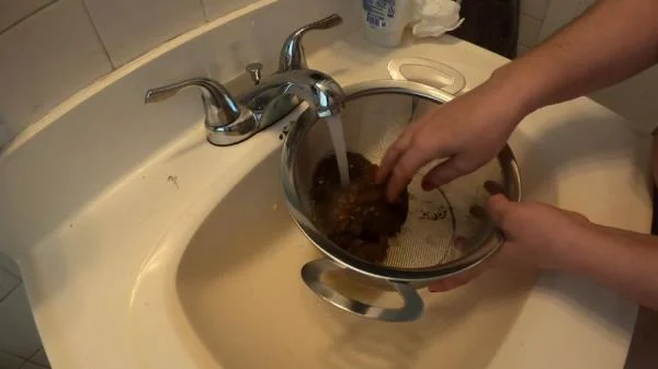 Layla Lee - Treasure Hunt (Amateur, Defecation ) Laylaleescat.com [FullHD 1080p]
