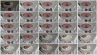Miss Lith - Pooping After 2 Days Without Doing It (Spain, Toilet Slavery ) Scatbook [HD 720p]