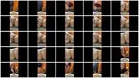 Layla Lee - Workplace Poop Break (Amateur, Defecation ) Laylaleescat.com [FullHD 1080p]