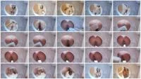 Miss Lith - Preparando Tu Scat (Spain, Toilet Slavery ) Scatbook [HD 720p]