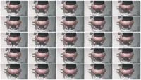 Mia Skye aka MiaRoxxx - Oldskool Toilet Shit (Germany, Dirty Anal ) Filthygrid.com [HD 720p]