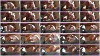 Sexy Flatulence - Anal Leakage 2 (Milf, Solo ) Scatshop [FullHD 1080p]