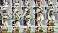 KnkyKttn97 - Pee And DATM (Solo, Shitting Ass ) Defecation [FullHD 1080p]