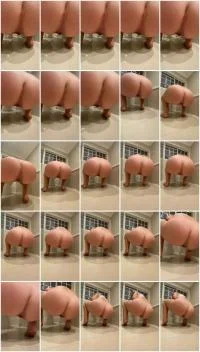 Filthy Skye - Shitting Girl 28 (Defecation, Scat Wife ) Scatbook.com [SD]