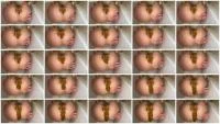 Filthy Skye - Shitting Girl 93 (Defecation, Scat Wife ) Scatbook.com [HD 720p]