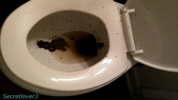 Toilet Spray (Poop, Amateur ) Scatshop [FullHD 1080p]