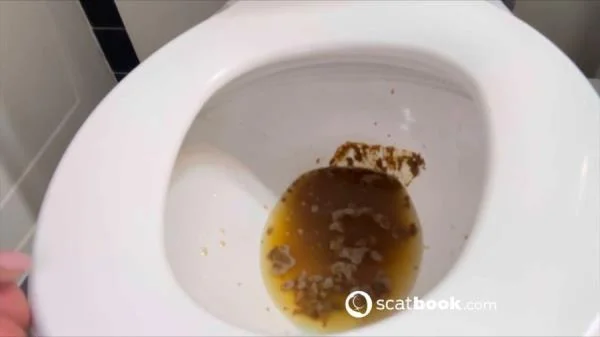 Shit For BDSM And Fetish Lovers 222 (Canada, Shitting Ass ) Scatbook [HD 720p]