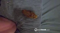 Missionary HUGE Poop (Germany, Dirty Anal ) Filthygrid.com [UltraHD/4K]
