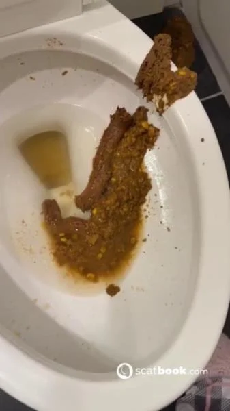 Bossys Bathroom Blunder A Splattered Catastrophe (USA, Kaviar ) Scatbook [SD]