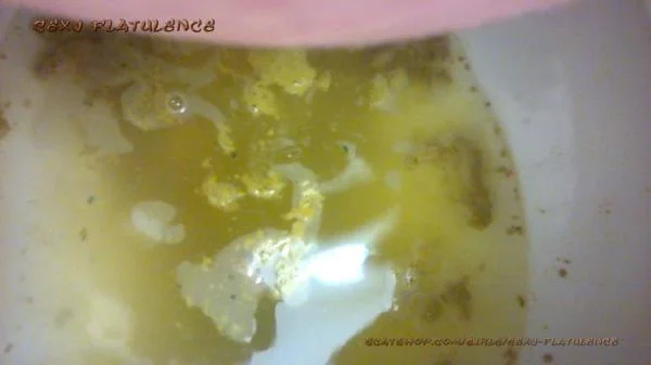 Diarrhea In The Toilet (Milf, Solo ) Scatshop [FullHD 1080p]