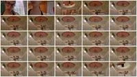 Inmersive Scat Session Sesion De Scat Inmersiva (Spain, Toilet Slavery ) Scatbook [HD 720p]