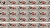 Scat Darkfans - 08 (Spain, Toilet Slavery ) Scatbook [HD 720p]