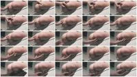 A Shit In a Customers Hand (Germany, Dirty Anal ) Filthygrid.com [HD 720p]