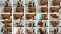 IWantMystique - Shit For BDSM And Fetish Lovers 7 (Canada, Shitting Ass ) Scatbook [FullHD 1080p]