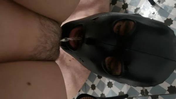Miss Lith - Mean - Darkfans (Spain, Toilet Slavery ) Scatbook [HD 720p]