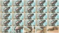 White Heels (Germany, Dirty Anal ) Filthygrid.com [HD 720p]