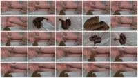 Night Scat (Solo, Big Pile ) Femscat.com [HD 720p]