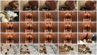 2 Shits In 1 Day (Fetish, Feet ) Scatshop.com [FullHD 1080p]