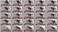 Getting Ready To Party (Germany, Dirty Anal ) Filthygrid.com [HD 720p]