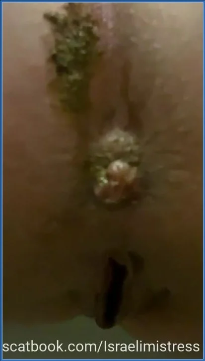 Mistress Jardena - Best lunch for my toilet bitches [SiteRip]