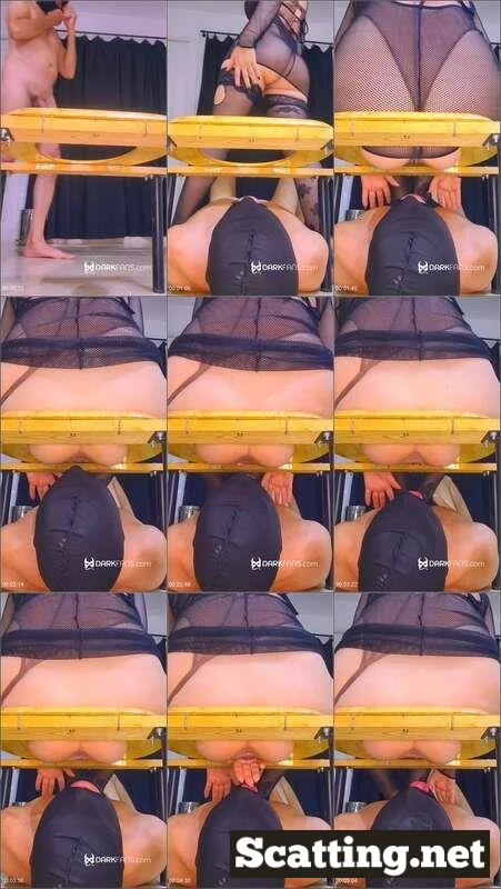 Toilet slave That's your place under my - Domina Marbella Femdom Scat
