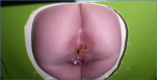 Princess Araya Delivers Filthy Facesitting and Scat from Start to Finish