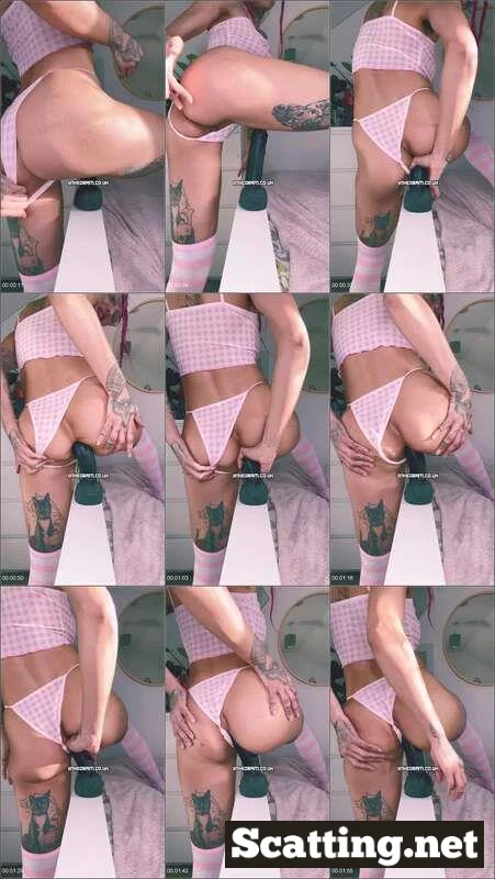 Messy Anal Bundle-14 - Inked Bambi Anal Scat
