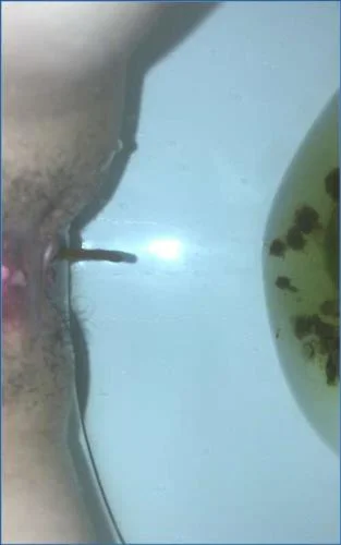 Missellie in Real Toilet Action: Shitting and Smearing