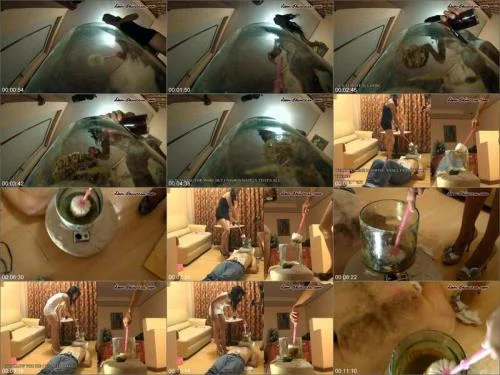The Poop Collector Part 09 The Feeding starring Denise Femdom Scat