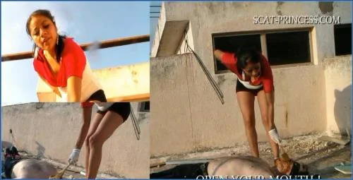 Denise Gets Dirty in "Too Much Shit on the Roof Part 4 Gabi