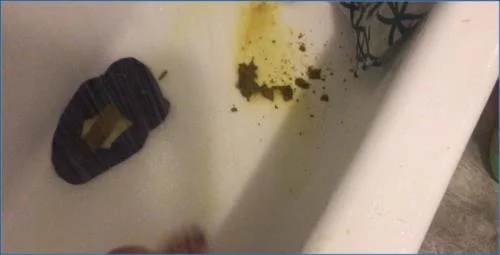 Missellie’s extreme Solo Verbal Humiliation Scat Play