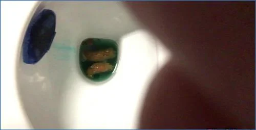 Ella Gilbert's Solo Scat: 5 Days Bowel Movement with Dildo and Fisting