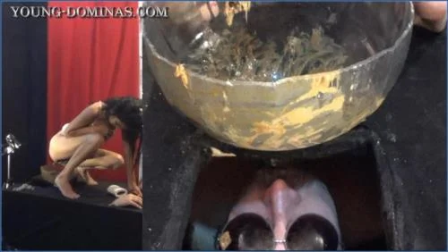 Stupid Slaves Facesitting and Puking on Her Slaves in Extreme Scat Set