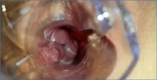 Anna Coprofield's Solo Scat Ride: From Farting to Prolapse in POV