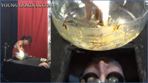Stupid Slaves Dominate with Grubby Farts and Puke in Wild Mexican