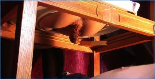 Diana Takes Charge in Piss and Toilet Slavery Ritual - Scat Domination
