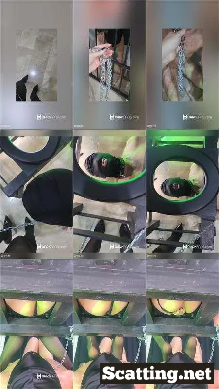 Domina Marbella Femdom Scat - Lo saco de la reja para usarlo de toilet