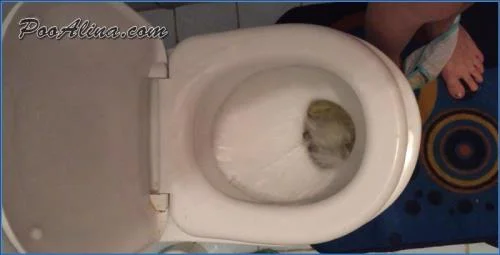 PooAlina's Morning Toilet Selfie with Puke and Shit Eating