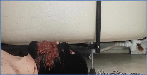 Watch PooAlina's Explosive Diarrhea on Face and Mouth Shit Eating