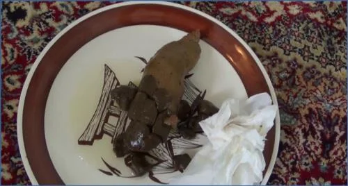 Tegan's Hardcore Poop and Pee Plate Play