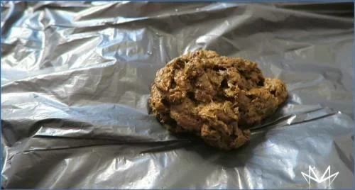 Miss Medea Mortelle's Hardcore Femdom Enema and Real Copro Scat clip