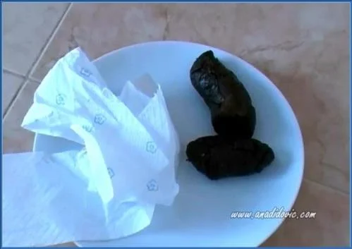 Ana Didovic's Hardcore Anal and Copro porn