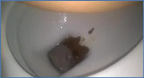 Sarah and Angie Hardcore Piss Shitting in Public Toilet