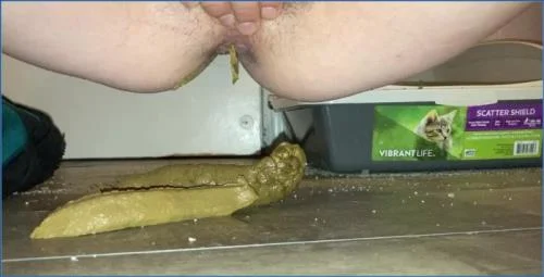 Missellie Toilet Slave in Scat Porn Action 💩