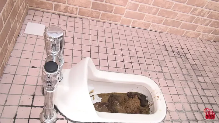 Japanese Scat: Stinky Poops and Clogged Toilets Messy Release