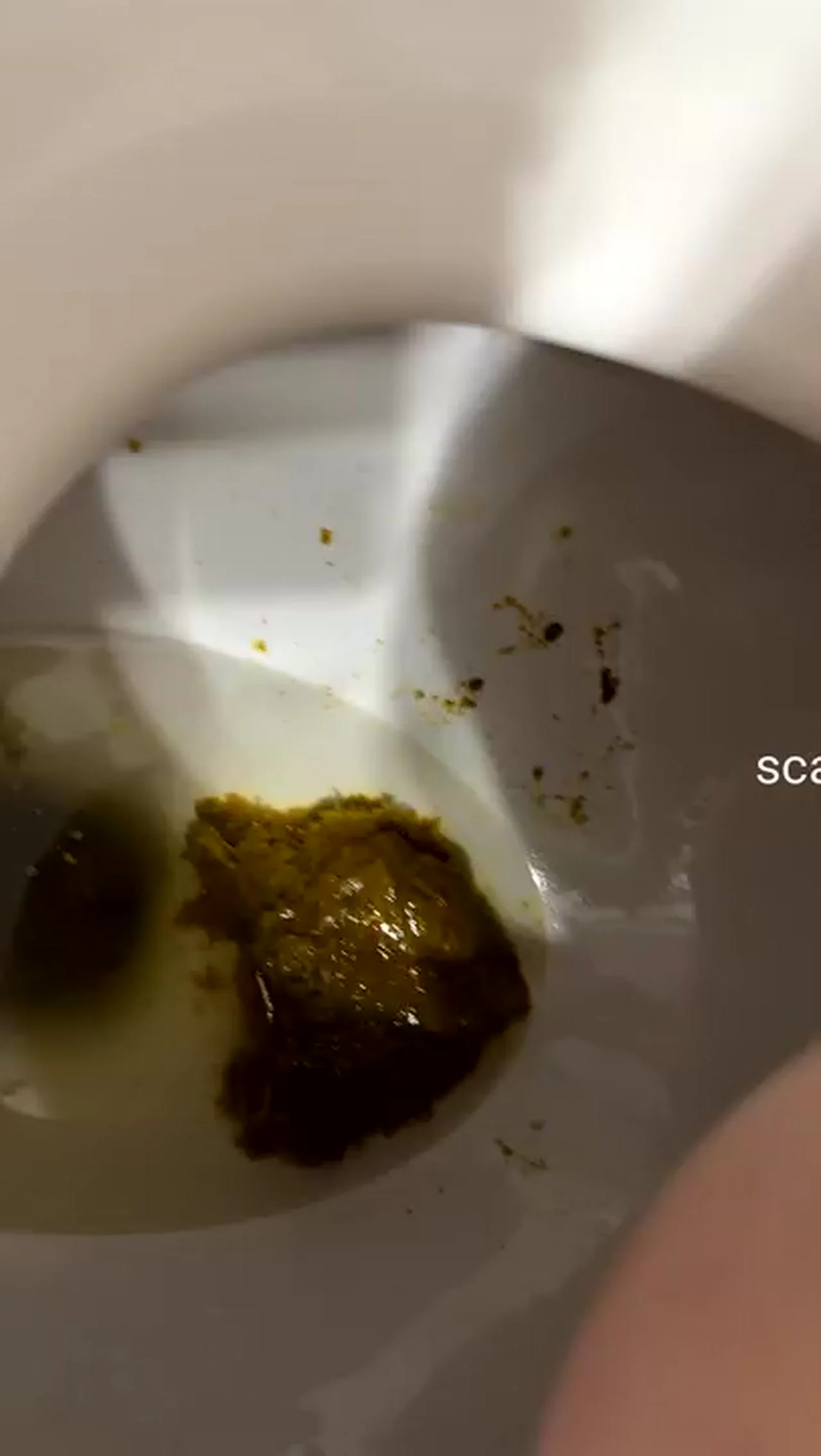 SaraBee's Quick and Dirty Fetish Flash